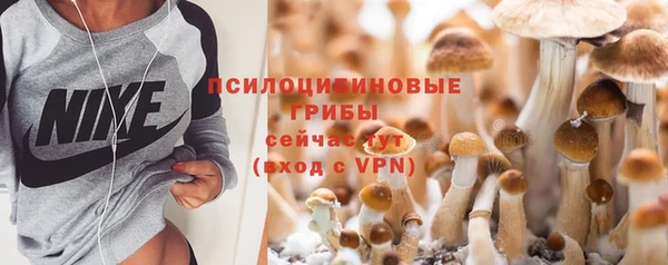 не бодяженный Аркадак